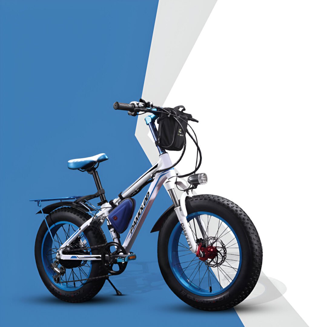 E-Bike EB-20FT01
