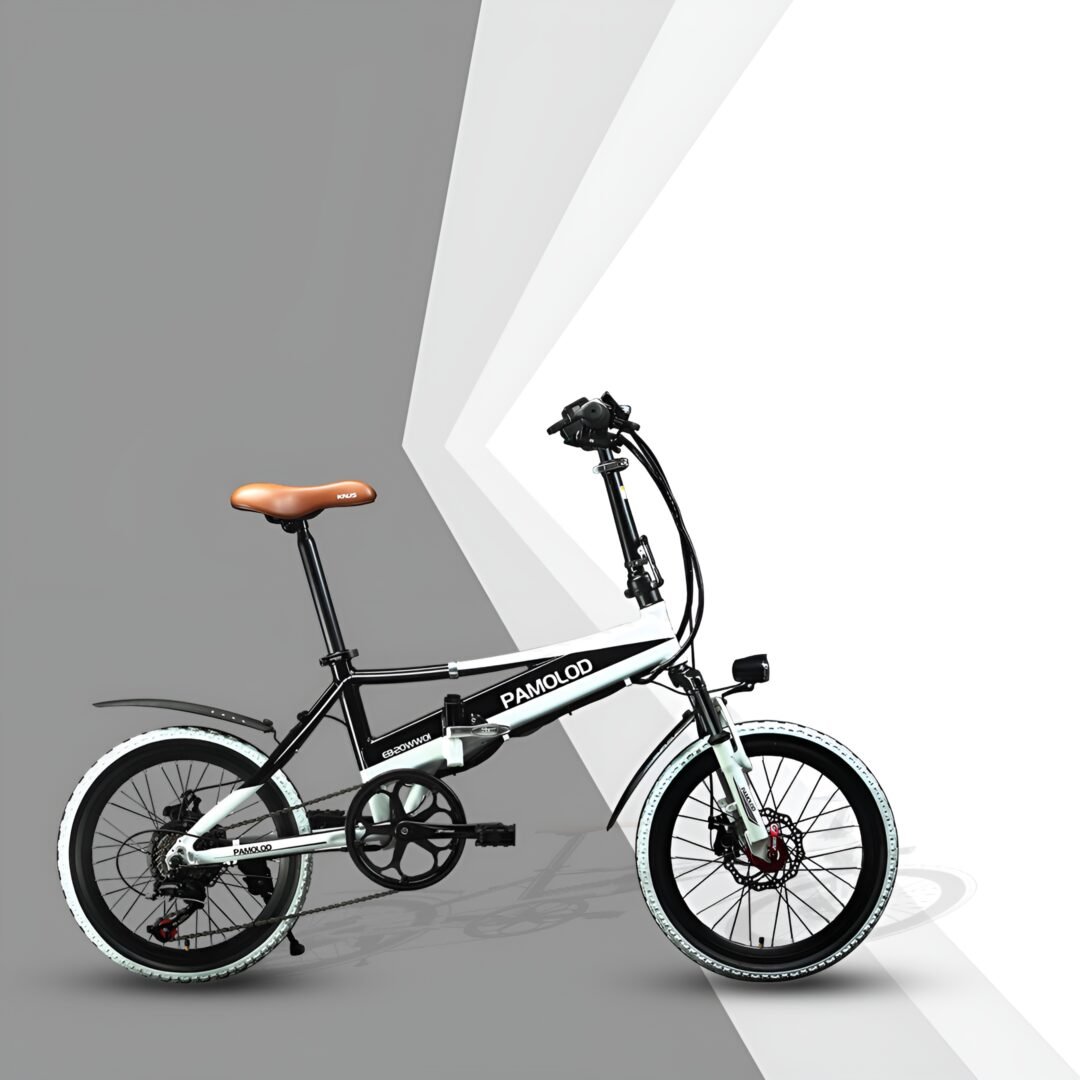 E-Bike EB-20SW02