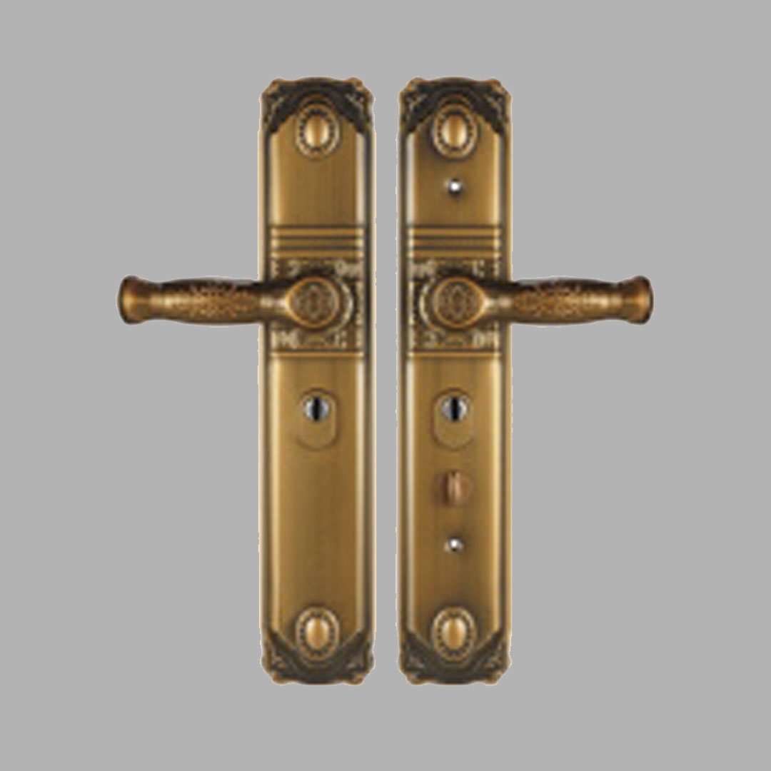 Door Lock Lashou 06 Single Active Dual Active LS-03A