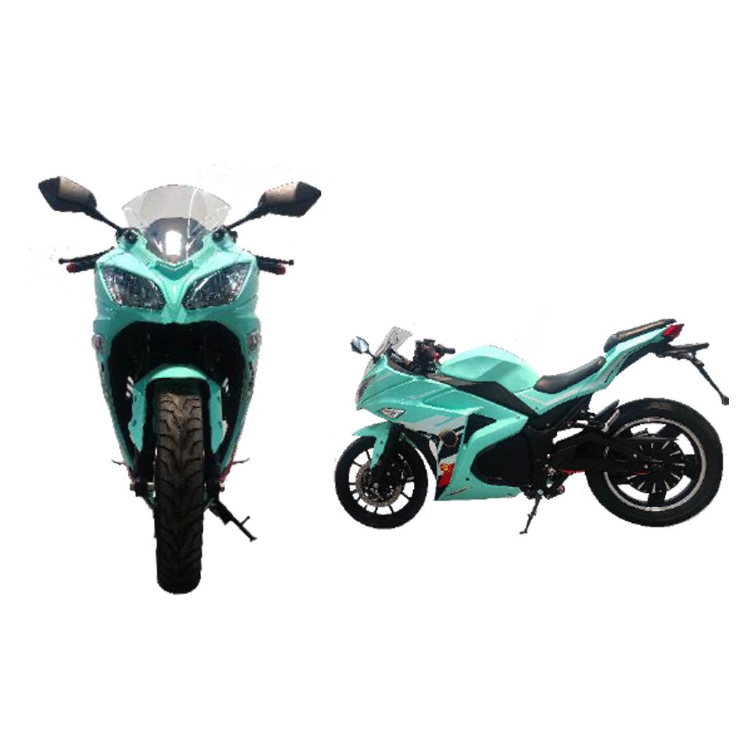 RZ-2 High Speed Electric Bike